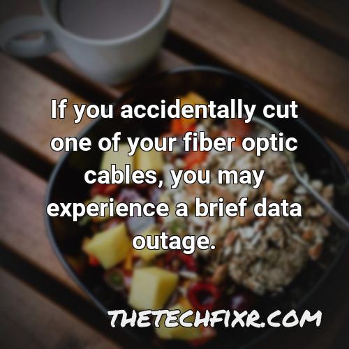 if you accidentally cut one of your fiber optic cables you may experience a brief data outage
