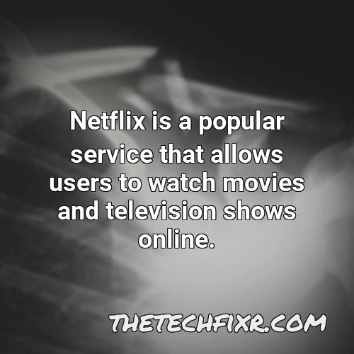 netflix is a popular service that allows users to watch movies and television shows online