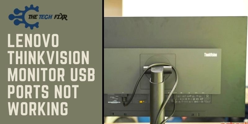 Lenovo Thinkvision Monitor USB Ports 