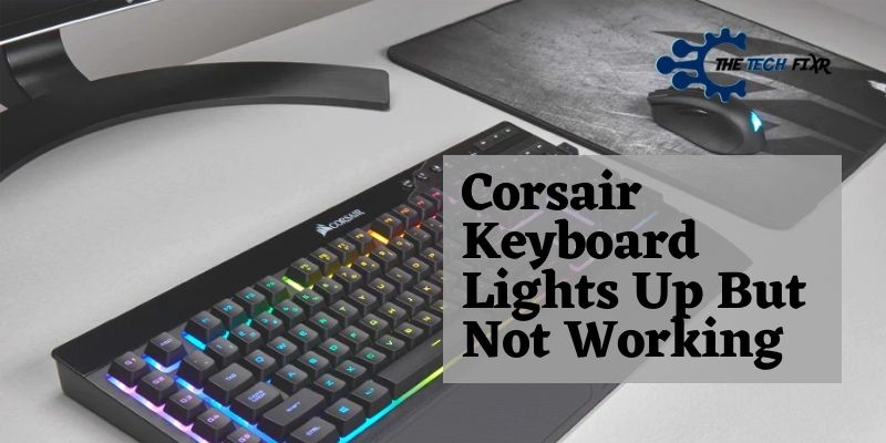 Corsair Keyboard Lights Up But Not Working Know Why How To Fixe